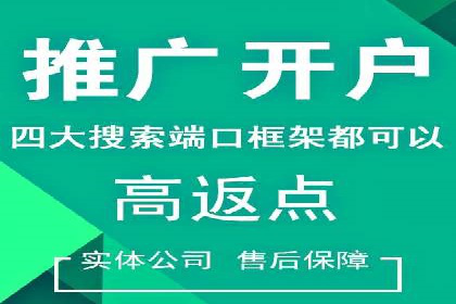 充值高返点背后的策略与技巧：案例分析